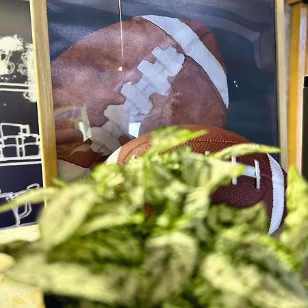 Szálloda Ibis Budget